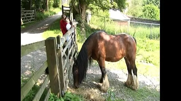 Regarder Harmony - Ecole d'équitation Young Harlots - Scène 3 - Extrait 2Tube au total