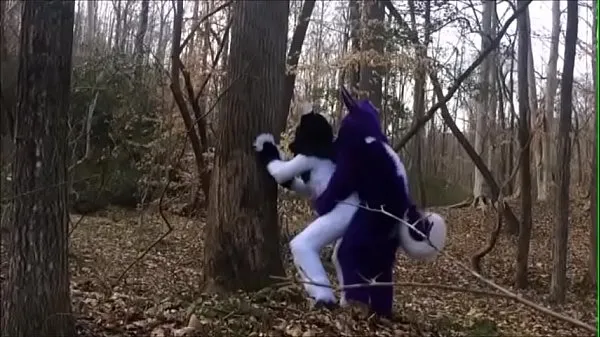 Se Fursuit Couple Mating in Woods totalt Tube