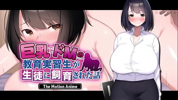 支配的な巨乳インターンが生徒たちに犯される : The Motion Anime 合計チューブを見る